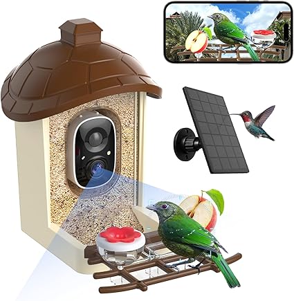 Bird Feeder