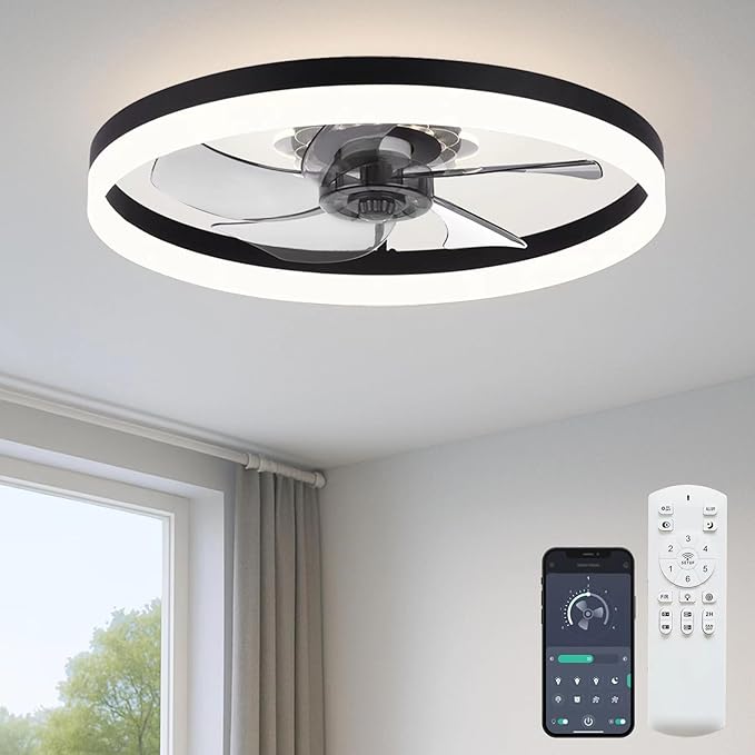 Ceiling Fan with Light