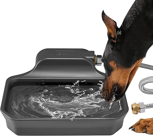 Dog Water Dispenser
