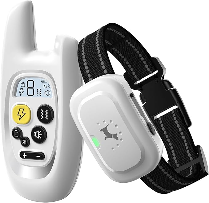 Dog Shock Collar with Remote