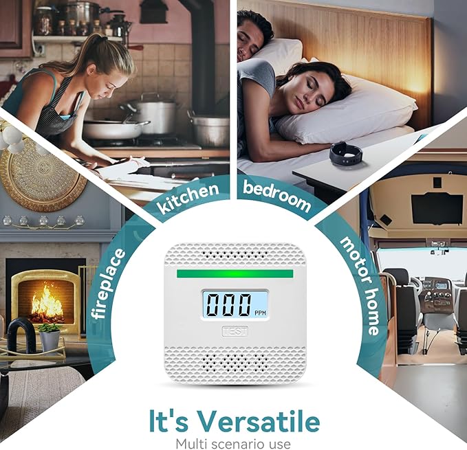 Portable CO Detector: Digital Display, Battery Alarm.