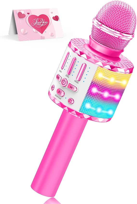 Karaoke Microphone